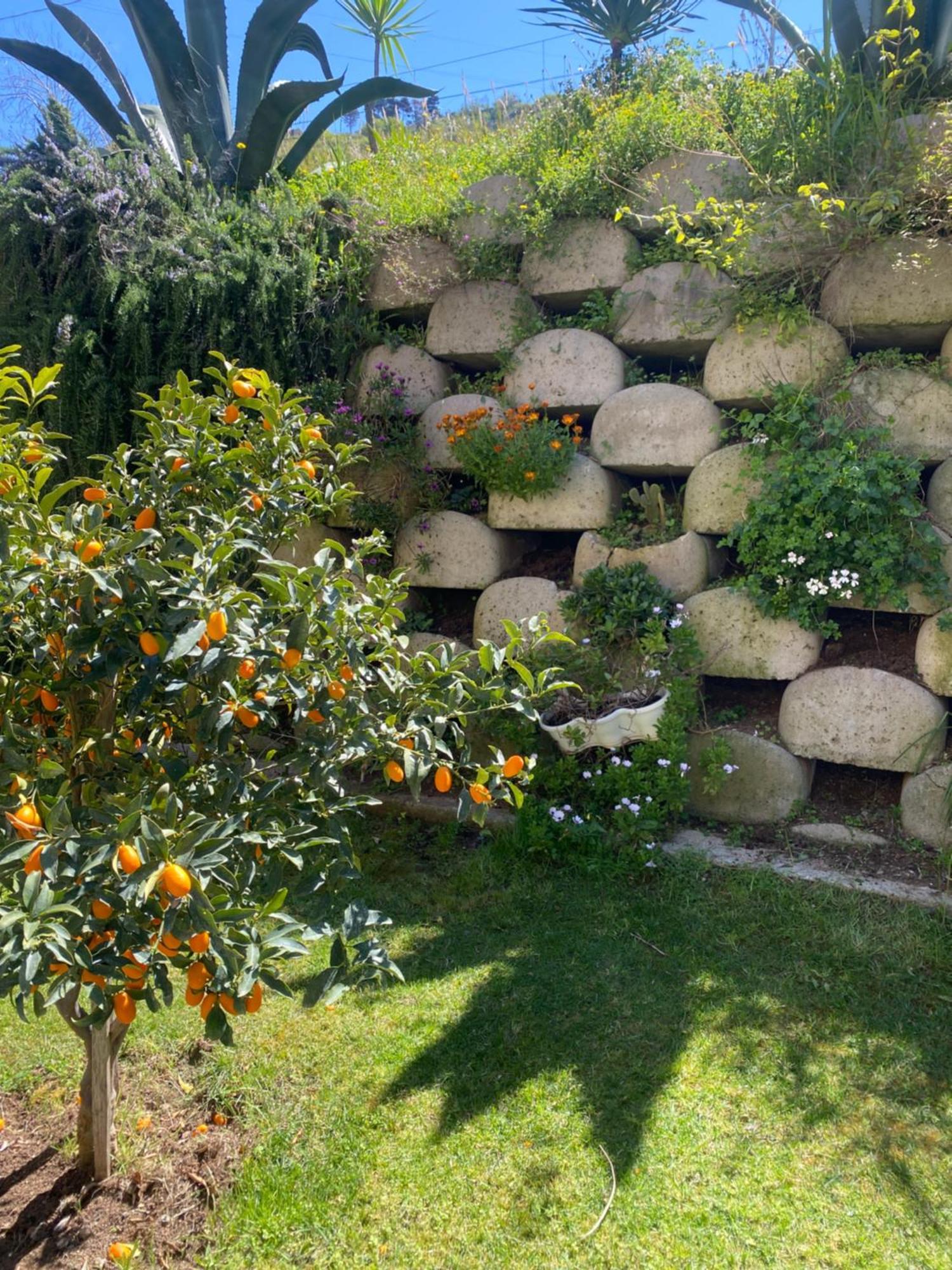 Residenza Roma Bed and Breakfast Tropea Eksteriør billede